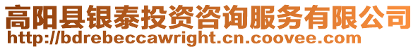 高陽縣銀泰投資咨詢服務有限公司