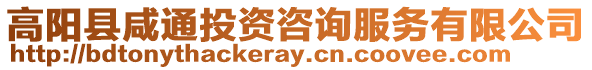 高陽縣咸通投資咨詢服務有限公司