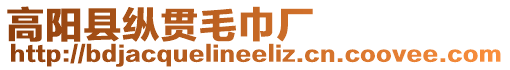 高陽縣縱貫毛巾廠