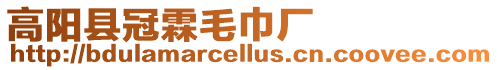 高陽縣冠霖毛巾廠