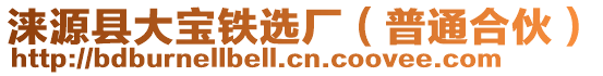 淶源縣大寶鐵選廠（普通合伙）