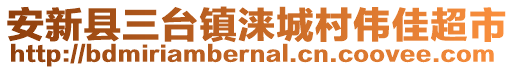 安新縣三臺(tái)鎮(zhèn)淶城村偉佳超市