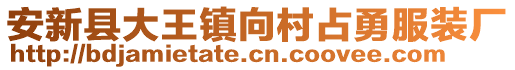 安新县大王镇向村占勇服装厂