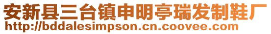 安新縣三臺鎮(zhèn)申明亭瑞發(fā)制鞋廠