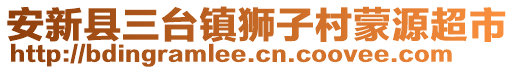 安新县三台镇狮子村蒙源超市