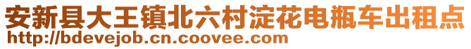 安新縣大王鎮(zhèn)北六村淀花電瓶車出租點