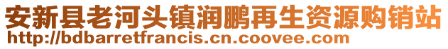 安新縣老河頭鎮(zhèn)潤(rùn)鵬再生資源購(gòu)銷(xiāo)站