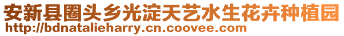 安新縣圈頭鄉光淀天藝水生花卉種植園