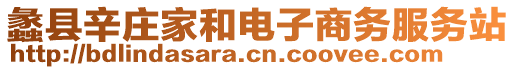 蠡县辛庄家和电子商务服务站