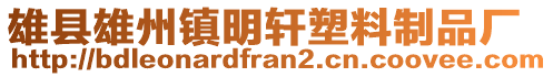 雄县雄州镇明轩塑料制品厂