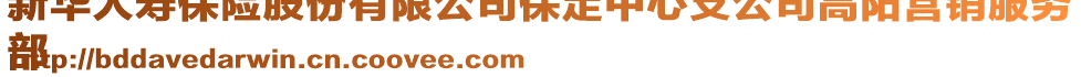 新華人壽保險(xiǎn)股份有限公司保定中心支公司高陽營(yíng)銷服務(wù)
部