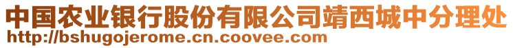 中國(guó)農(nóng)業(yè)銀行股份有限公司靖西城中分理處