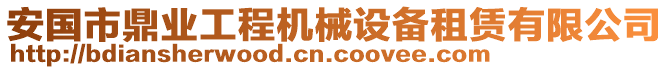 安國(guó)市鼎業(yè)工程機(jī)械設(shè)備租賃有限公司