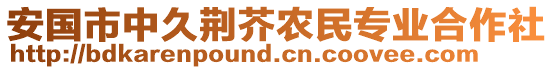 安國(guó)市中久荊芥農(nóng)民專業(yè)合作社