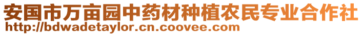 安国市万亩园中药材种植农民专业合作社