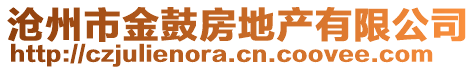 滄州市金鼓房地產有限公司
