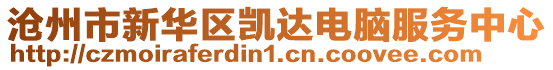 滄州市新華區(qū)凱達電腦服務(wù)中心