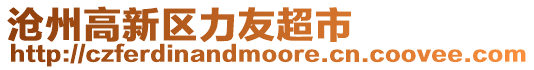 滄州高新區力友超市