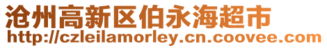 滄州高新區伯永海超市