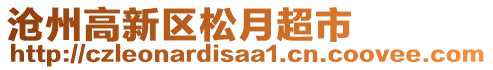 滄州高新區松月超市