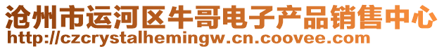 滄州市運河區(qū)牛哥電子產品銷售中心