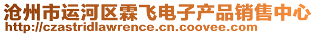滄州市運河區(qū)霖飛電子產品銷售中心