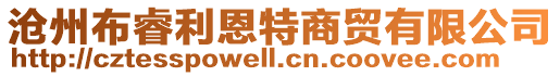 沧州布睿利恩特商贸有限公司