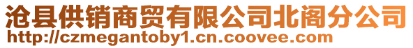 滄縣供銷商貿(mào)有限公司北閣分公司