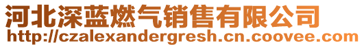 河北深蓝燃气销售有限公司