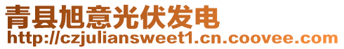 青縣旭意光伏發(fā)電