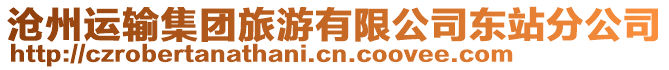 滄州運(yùn)輸集團(tuán)旅游有限公司東站分公司