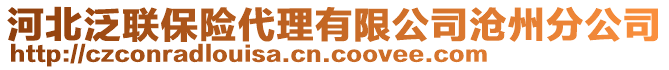 河北泛聯(lián)保險代理有限公司滄州分公司