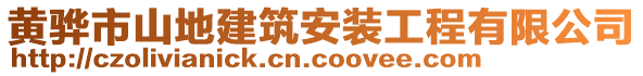 黃驊市山地建筑安裝工程有限公司