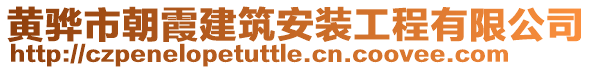 黃驊市朝霞建筑安裝工程有限公司