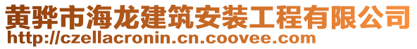 黃驊市海龍建筑安裝工程有限公司