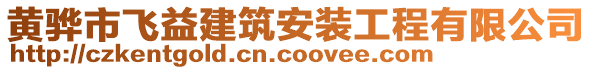 黃驊市飛益建筑安裝工程有限公司