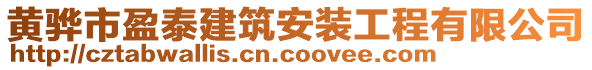 黃驊市盈泰建筑安裝工程有限公司