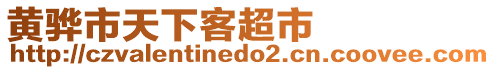 黃驊市天下客超市