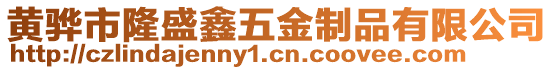 黃驊市隆盛鑫五金制品有限公司