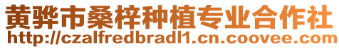 黃驊市桑梓種植專業(yè)合作社