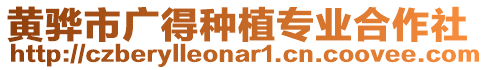 黃驊市廣得種植專業(yè)合作社