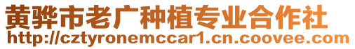 黃驊市老廣種植專業(yè)合作社