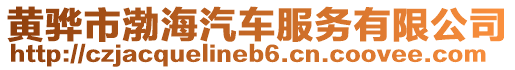 黃驊市渤海汽車服務(wù)有限公司