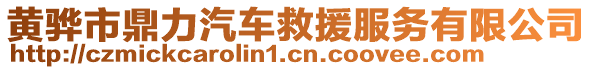 黃驊市鼎力汽車救援服務有限公司