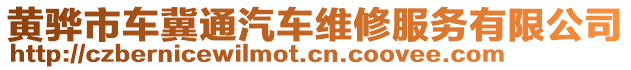 黃驊市車冀通汽車維修服務(wù)有限公司