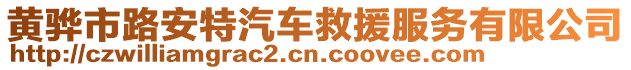 黃驊市路安特汽車救援服務有限公司