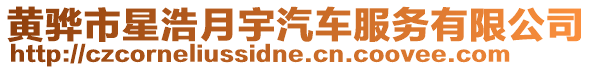 黃驊市星浩月宇汽車服務(wù)有限公司