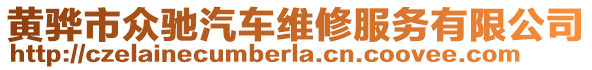 黃驊市眾馳汽車(chē)維修服務(wù)有限公司