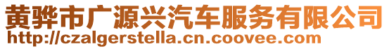 黃驊市廣源興汽車服務有限公司