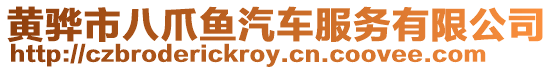 黃驊市八爪魚汽車服務有限公司